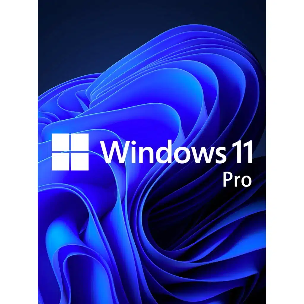 Windows 11 Professional OEM Key